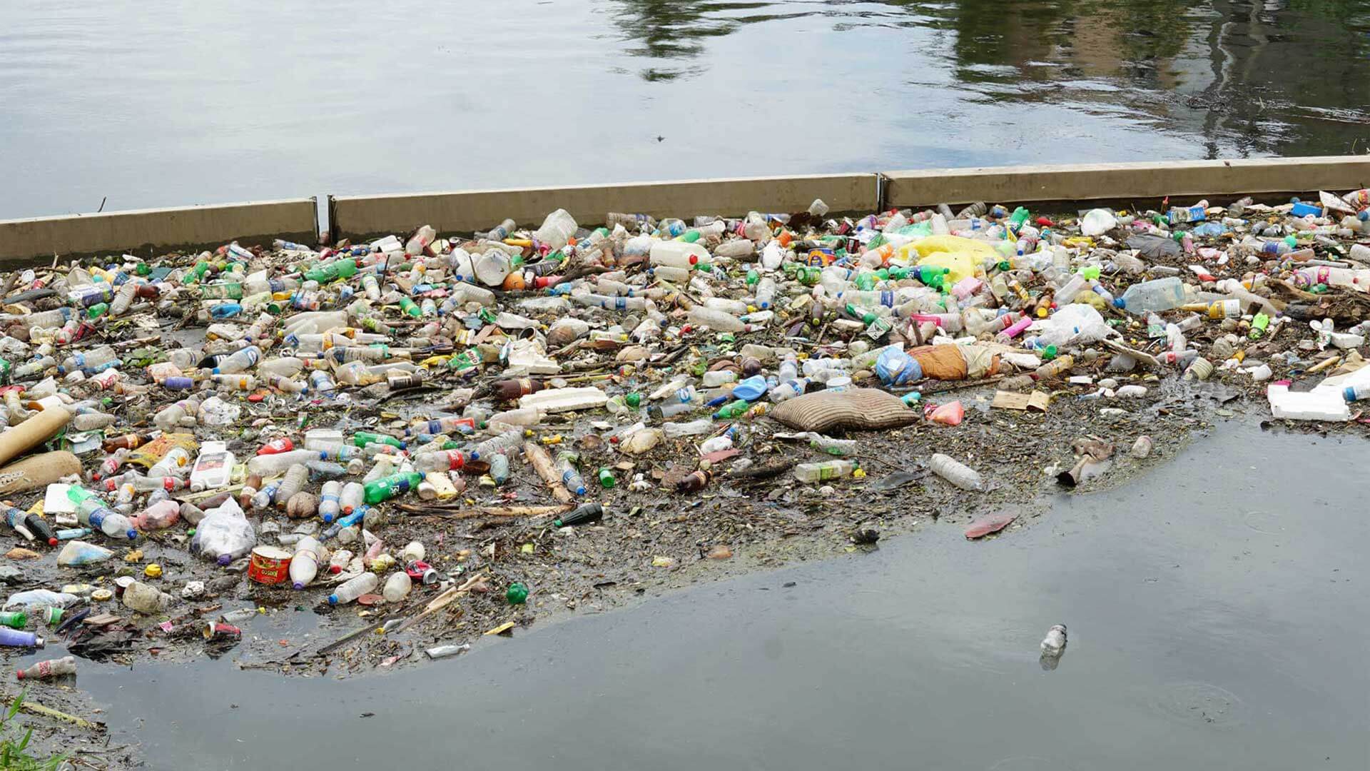 Strainer Collected Trash 3